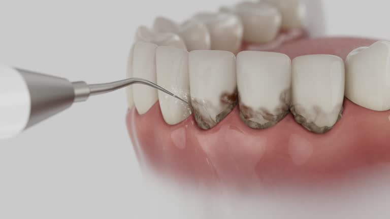 Reliable Dental contractor in Sonora, TX by Dentist Open Now